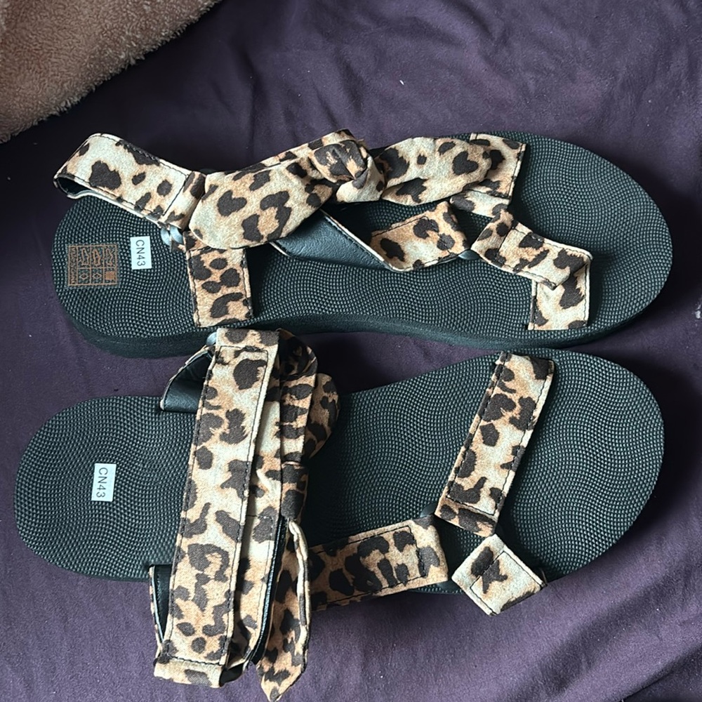 Leopard
